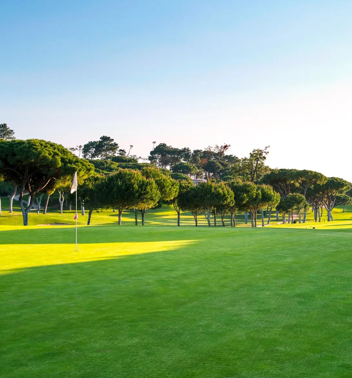 Mature pine trees and green at Vilamoura Old Course