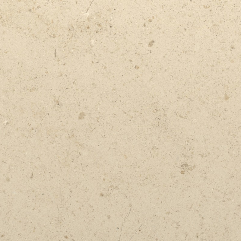 Moleanos limestone showing its fine grain
